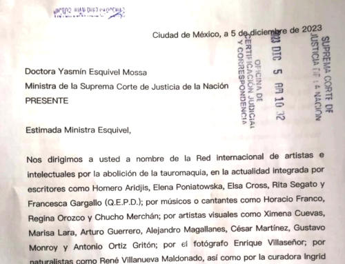 Carta a la ministra Yasmín Esquivel de la Red de artistas e intelectuales por la abolición de la tauromaquia