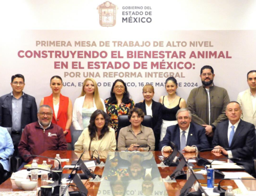 Construyendo la protección y bienestar animal en el Estado de México