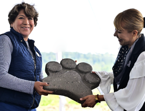 La primera piedra de un Centro Integral de atención para animales rescatados en el Estado de México