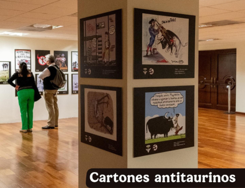 El mundo dibujando por la abolición: Toros Sí, toreros No. En el Complejo Cultural los Pinos