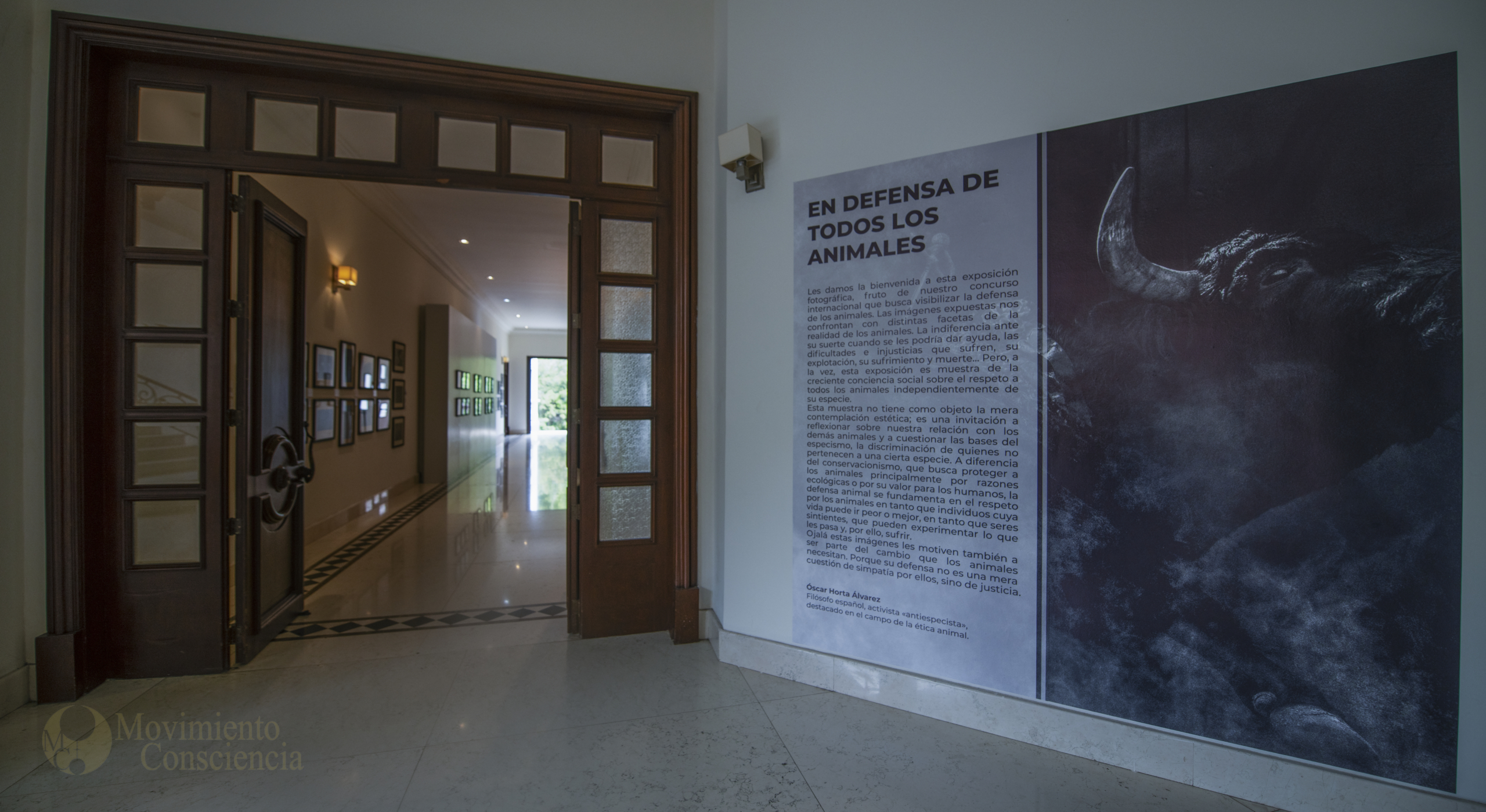 «Que sea el alma misma del animal la que emane mediante la acción de la luz«. Exposición fotográfica en el Complejo Cultural los Pinos