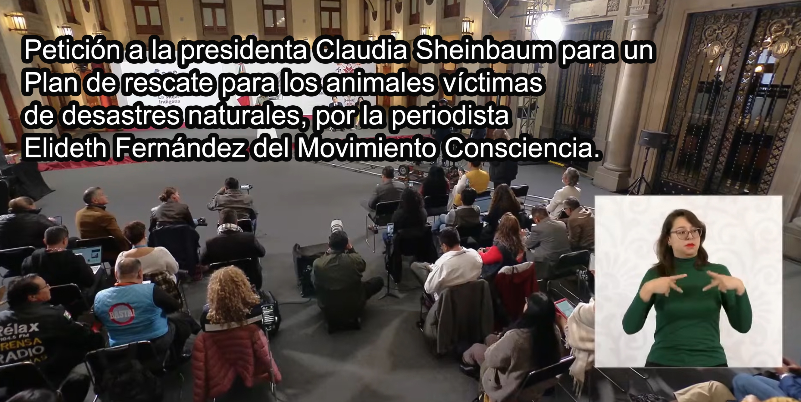 Petición a la presidenta Claudia Sheinbaum para un Plan de rescate para los animales víctimas de desastres naturales.