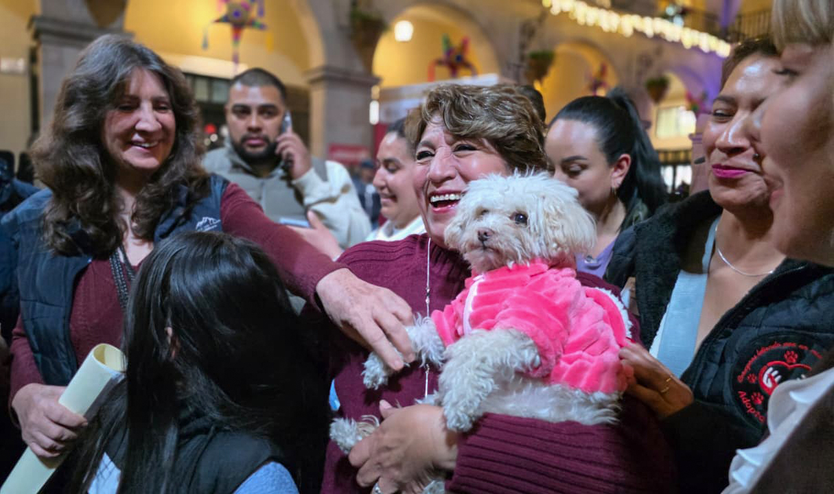 40 toneladas de alimento destinadas a perros y gatos en esta temporada navideña