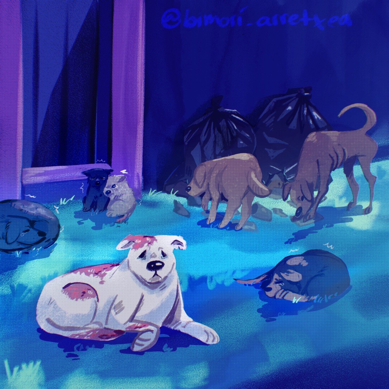 ¡NO MÁS MATANZAS! Claudia Sheinbaum ordena política pública federal como un programa especial del gobierno